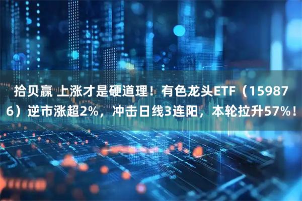 拾贝赢 上涨才是硬道理！有色龙头ETF（159876）逆市涨超2%，冲击日线3连阳，本轮拉升57%！
