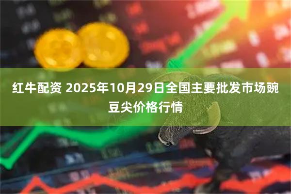 红牛配资 2025年10月29日全国主要批发市场豌豆尖价格行情