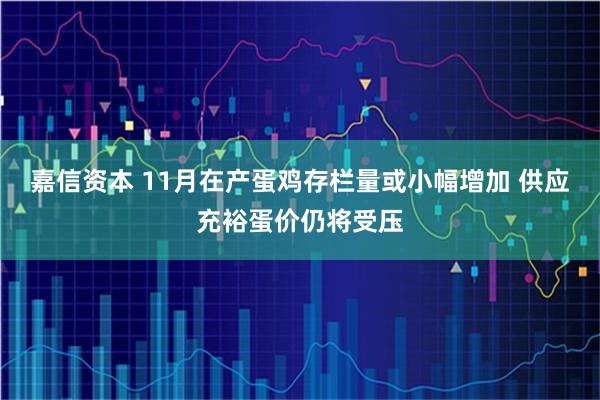 嘉信资本 11月在产蛋鸡存栏量或小幅增加 供应充裕蛋价仍将受压