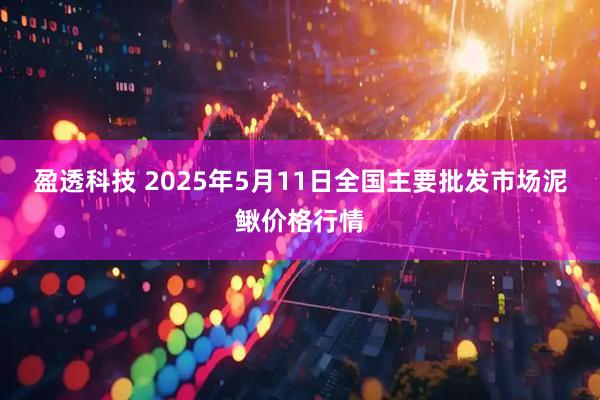 盈透科技 2025年5月11日全国主要批发市场泥鳅价格行情