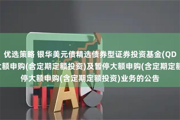 优选策略 银华美元债精选债券型证券投资基金(QDII)恢复直销机构大额申购(含定期定额投资)及暂停大额申购(含定期定额投资)业务的公告