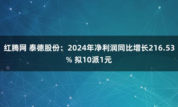 红腾网 泰德股份：2024年净利润同比增长216.53% 拟10派1元