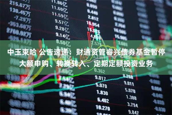 中玉束哈 公告速递：财通资管睿兴债券基金暂停大额申购、转换转入、定期定额投资业务